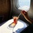 fefliyer_1267