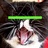 猫大脑袋