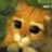 伯爵の猫