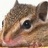 jerrymouse23