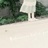 荷 兰豆