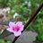June芳逛时光