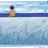 海狸