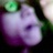 Super_BomB