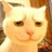 猫晴