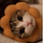 猫咪一样