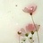 花家舍