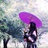 韩菱纱|清风