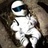Stig