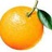 WhiteOrange