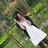 Edele