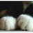 junemiao