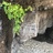 慵阿棉