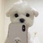 。。。