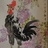 五月之王