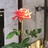 悠悠