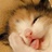 SUKI