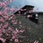 windspeaker