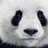 春少