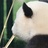 陨石猎人CC