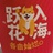 半山半吕