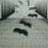 豆友47344273