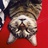 Wintery_猫妖