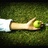 1顆蘋果APPLE