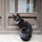 薛定谔的猫