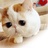 赖皮猫