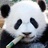 handsomepanda