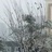 fukeyiyuan9850