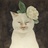 海洋眼眸