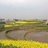 xiaochao1