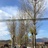 shijian