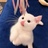 你咬我吖