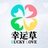 幸运草之恋