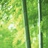 wangyu_lv1314