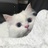 小小