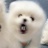 春馬酱