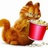 加菲cat