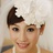 苹果女人杨子