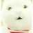 嫒宝宝