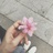 N.lur
