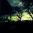 Sgreen