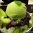 雲飛_yunfei