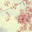 冰糖葫芦