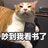 卯日星君