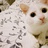 猫仙座