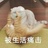 白蘸糖